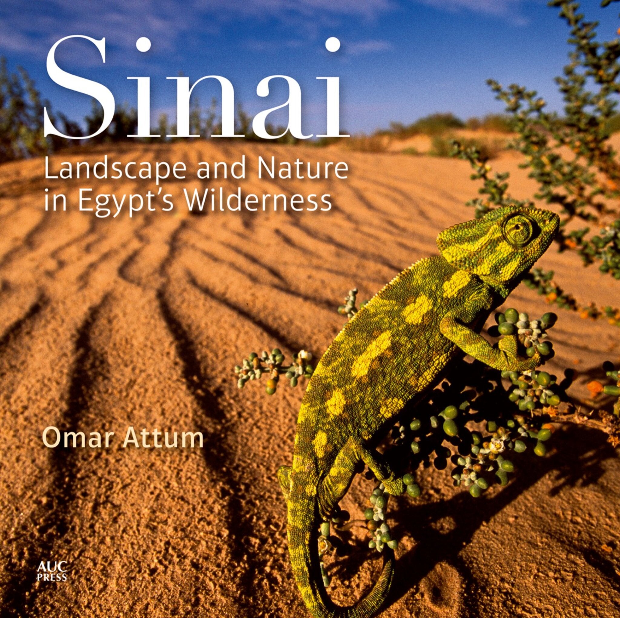 Sinai